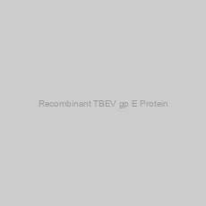 Image of Recombinant TBEV gp E Protein